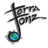 Terratonz Handpan