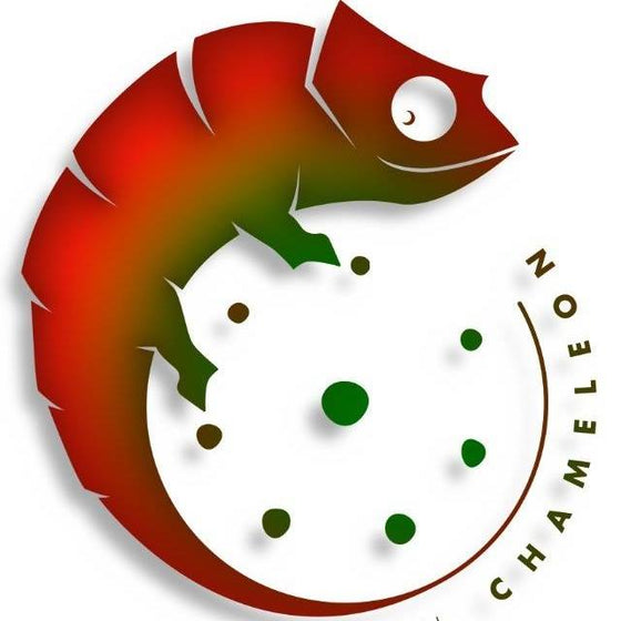 Chameleon (54cm)