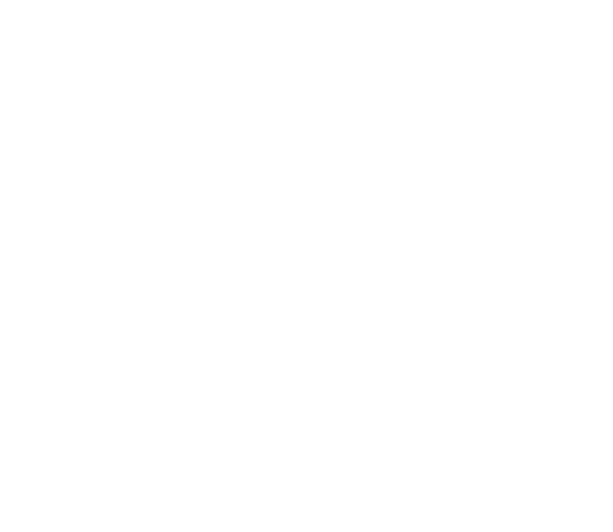 Essence Handpans