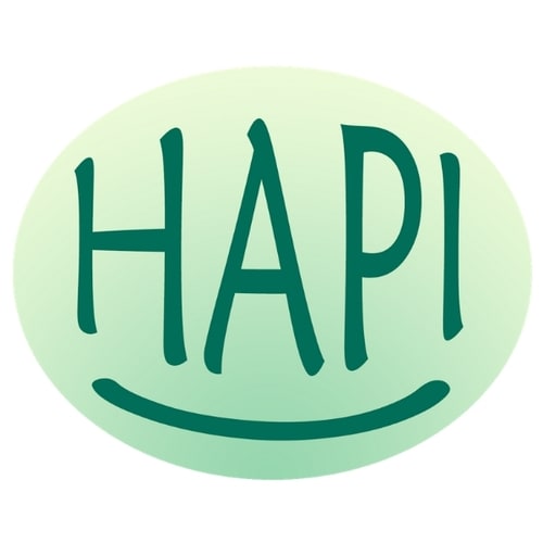 Hapi Handpan